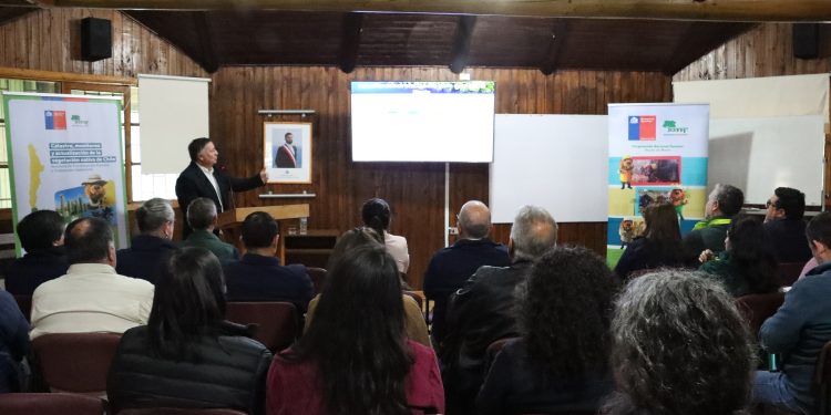 Catastro de CONAF refleja importante cobertura de bosques en territorio maulino