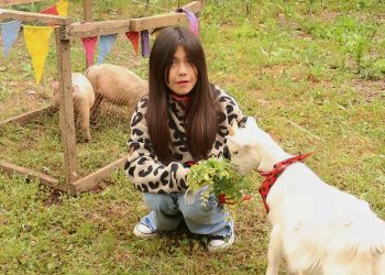 Animales, tradiciones y ambiente familiar: Invitan a la Granja Fest en Molina este domingo 26