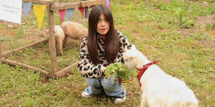 Animales, tradiciones y ambiente familiar: Invitan a la Granja Fest en Molina este domingo 26