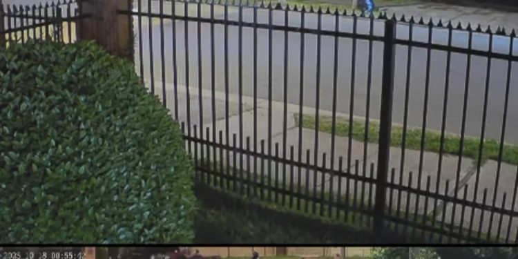 Grave tiroteo en sector Las Rastras de Talca: Vea el video