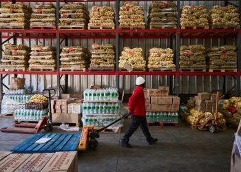 Inseguridad alimentaria en Chile afecta a uno de cada cinco hogares