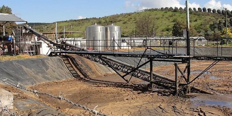 Segundo Tribunal Ambiental rechazó reclamo de empresa de aceite de oliva que pretendía anular multa de $1.230 millones ordenada por la SMA
