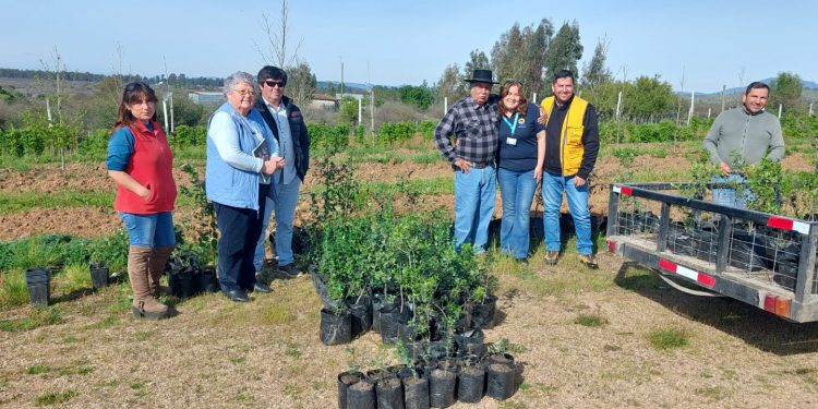 Vista Hermosa dona 500 árboles nativos a comunidades de San Javier