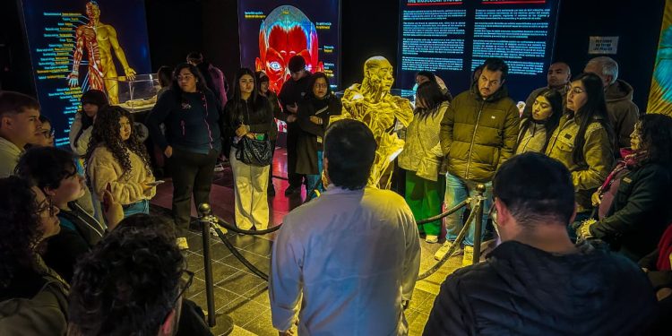 Exposición Bodies Evolution anuncia extensión en Talca hasta el 15 de noviembre
