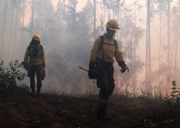 Proponen profesionalizar a brigadistas forestales para reforzar prevención