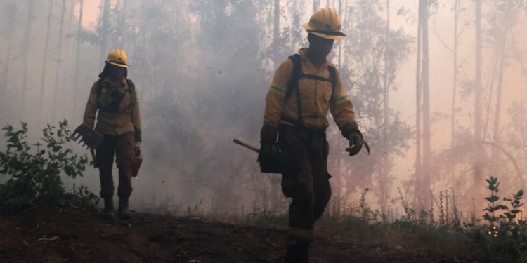 Proponen profesionalizar a brigadistas forestales para reforzar prevención