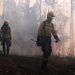 Proponen profesionalizar a brigadistas forestales para reforzar prevención
