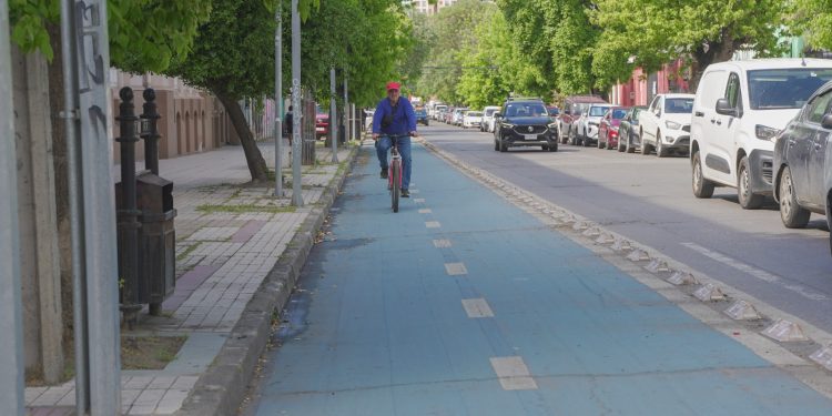 Talca aumenta en más de un 700% su red de ciclovías en menos de una década