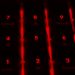 Snakestealer: el infostealer que lidera el robo de contraseñas en 2025