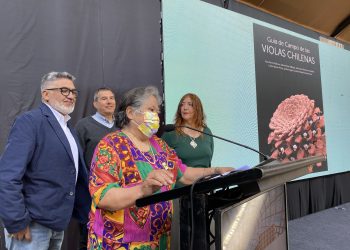 Nueva Guía de Campo sobre Violas chilenas destaca gran legado científico