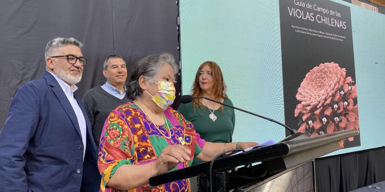 Nueva Guía de Campo sobre Violas chilenas destaca gran legado científico