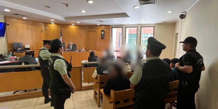 Capturan a banda criminal que robó 200 kilos de marihuana desde una plantación legal