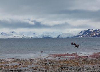 Universidad de Talca se adjudicó dos proyectos Anillo de Investigación