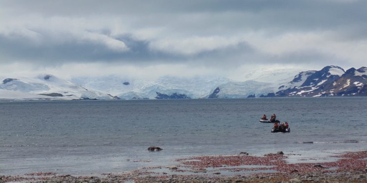 Universidad de Talca se adjudicó dos proyectos Anillo de Investigación