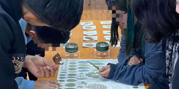 Profesores y escolares toman conciencia sobre importancia de proteger y conservar la especie ruil