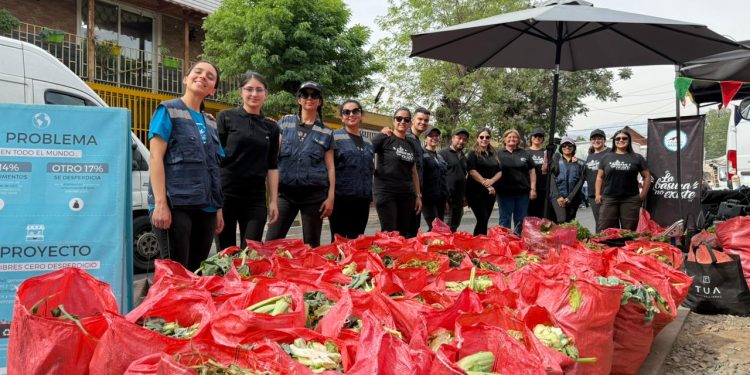 Alianza entre Fundación Basura y Embajada de Suiza: Casi 2 toneladas de residuos recuperados en ferias libres
