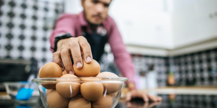 Advierten riesgo de salmonella en huevos sin control sanitario
