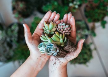 Feria Inclusiva “Manos que inspiran” reunirá a emprendedores y artesanos con discapacidad en Mall Curicó