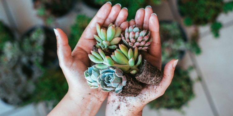 Feria Inclusiva “Manos que inspiran” reunirá a emprendedores y artesanos con discapacidad en Mall Curicó