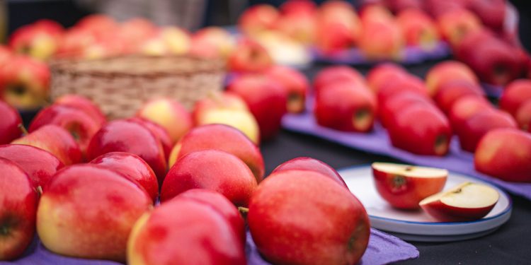 UTalca y FIA se unen para buscar comercialización de nuevos híbridos de manzanos