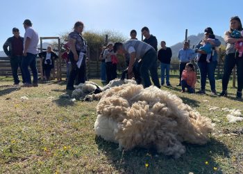 Pelarco vivirá este sábado su tercera Fiesta de la Esquila