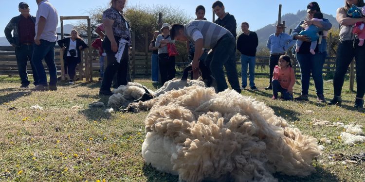Pelarco vivirá este sábado su tercera Fiesta de la Esquila