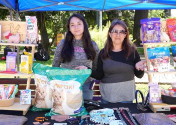 Feria anual de mujeres jefas de hogar: un éxito en la Plaza de Armas de Talca