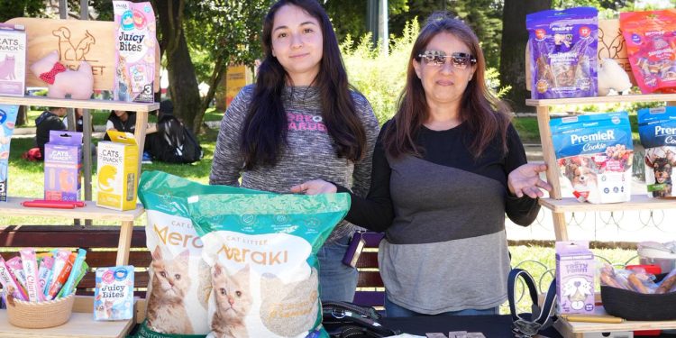 Feria anual de mujeres jefas de hogar: un éxito en la Plaza de Armas de Talca