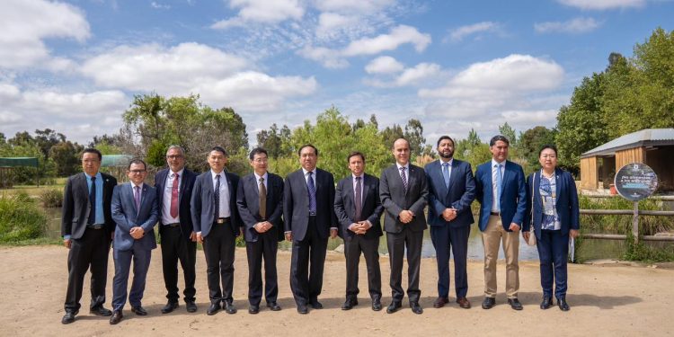 El Maule mira a China: Gobernador Álvarez-Salamanca impulsa alianza estratégica junto a la Provincia de Hebei