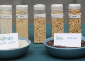 Octava versión de Expo Chile Agrícola cierra con más de 80 mil visitas