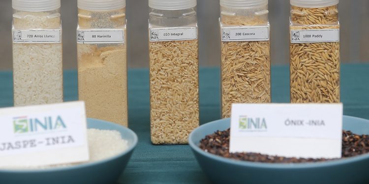 Octava versión de Expo Chile Agrícola cierra con más de 80 mil visitas