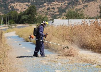 Municipio de Talca refuerza acciones de desbroce y supera las 105 hectáreas despejadas