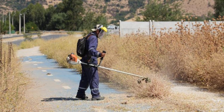 Municipio de Talca refuerza acciones de desbroce y supera las 105 hectáreas despejadas