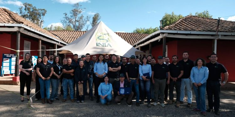 INIA Cauquenes conmemora 100 años de investigación y desarrollo para la agricultura del secano