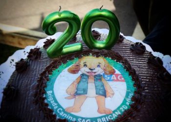 Brigada Canina del SAG celebra 20 años protegiendo la frontera y la sanidad agropecuaria del país