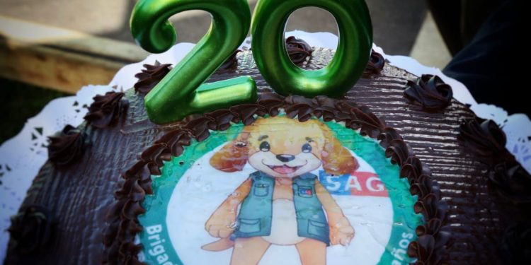 Brigada Canina del SAG celebra 20 años protegiendo la frontera y la sanidad agropecuaria del país