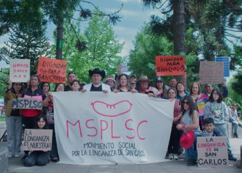 Festival de Cine Felina anuncia su programación 2025 con funciones gratuitas en el Maule