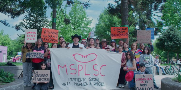 Festival de Cine Felina anuncia su programación 2025 con funciones gratuitas en el Maule