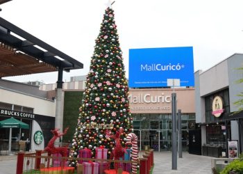 Navidad solidaria: iniciativa recaudará fondos para la Fundación Hijos de María