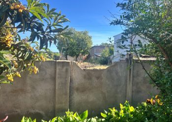 Denuncian robos reiterados a hogar de Fundación Las Rosas de Linares