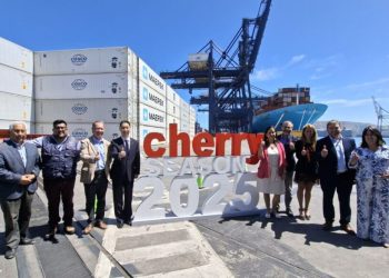 Temporada de exportación de cerezas comienza con la mayor cantidad de servicios directos con destino a Asia