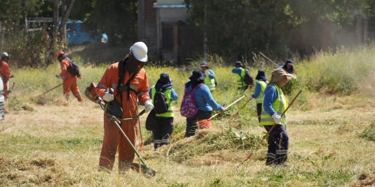 Municipalidad de Talca duplica equipos y acelera Operativo de Desbroce 2025 para reforzar seguridad y prevenir incendios