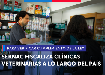 Sernac fiscaliza clínicas veterinarias a lo largo del país para verificar cumplimiento de la ley