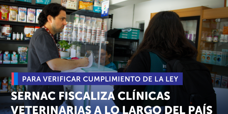 Sernac fiscaliza clínicas veterinarias a lo largo del país para verificar cumplimiento de la ley