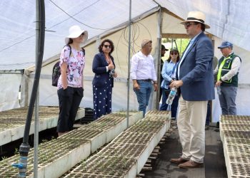 Cooperación internacional: Embajador de República Checa valora avances en reforestación en el Maule