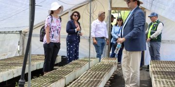 Cooperación internacional: Embajador de República Checa valora avances en reforestación en el Maule