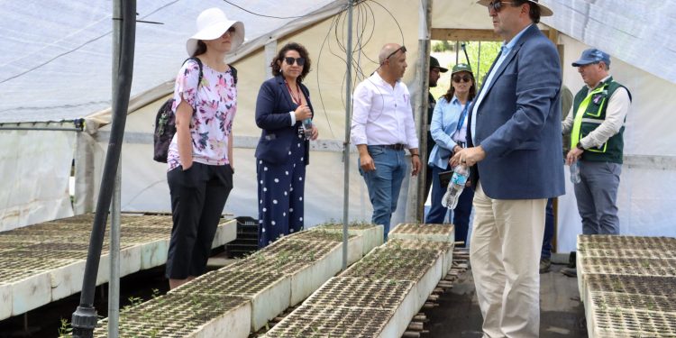 Cooperación internacional: Embajador de República Checa valora avances en reforestación en el Maule