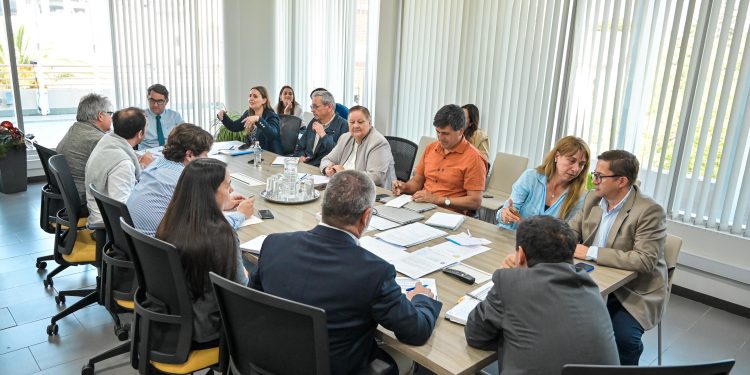 Histórico avance en el Ramal Talca–Constitución: GORE Maule y EFE acuerdan implementar 13 nuevos paraderos provisorios