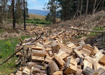 Ministerio de Energía abre postulaciones para obtener el “Sello Calidad de Leña” en la región del Maule