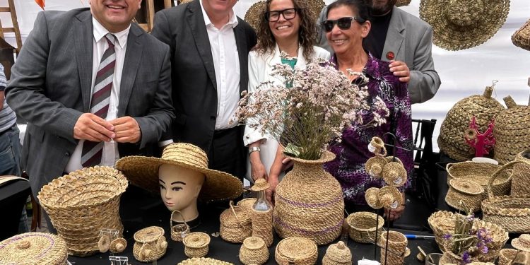 La Fiesta del Patrimonio Vivo regresa al Maule con cultoras y cultores de 22 comunas de la región